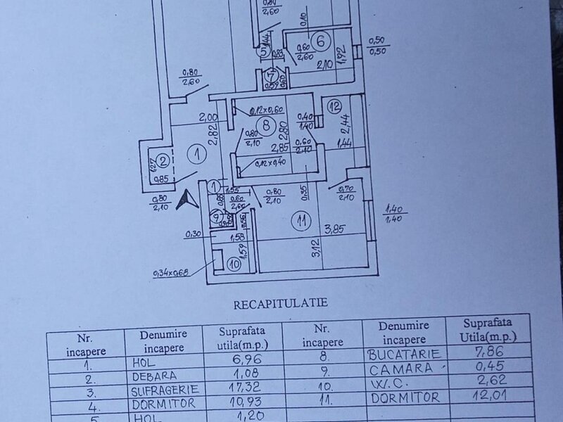 Obor, Colentina, Teiul Doamnei,