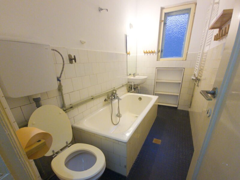 Obor, Colentina, Teiul Doamnei,